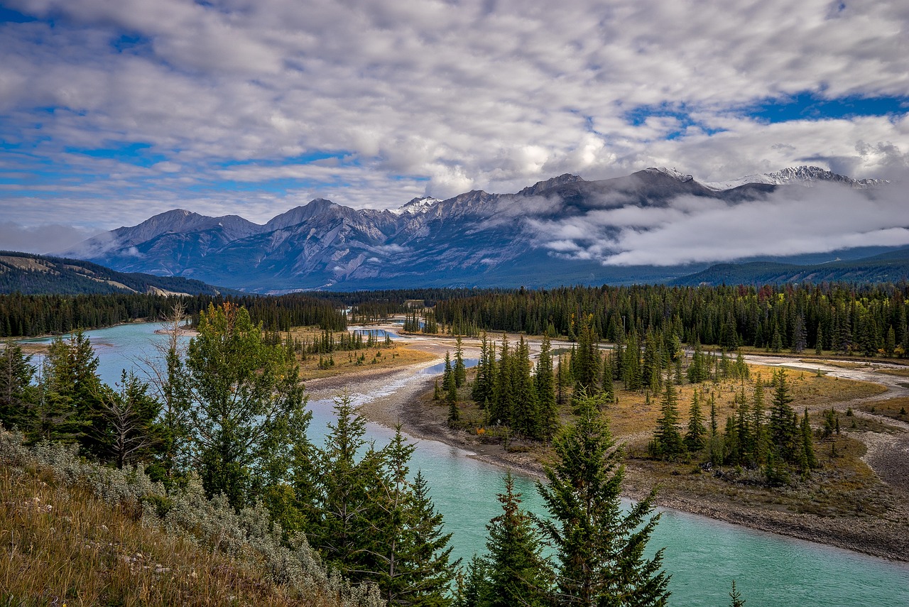 Petroleum Industry in Canada: A Key Driver of the Economy